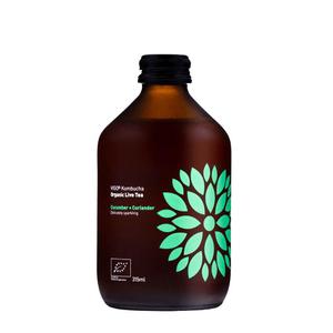 Vigo Kombucha Gurka & Koriander