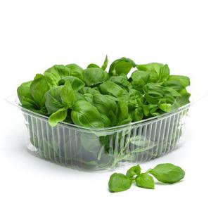 Orto Novo AB Färsk Basilika EKO 50g ask Klass1