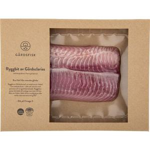 Gårdsfisk Ryggbit av Clarias