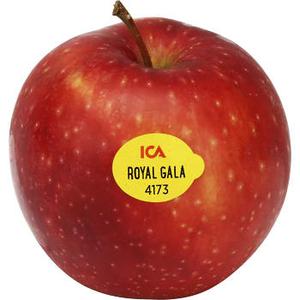 ICA Äpple Royal Gala ca 150g Klass 1