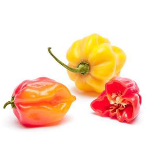 Frukt & Grönt Habanero 15g Klass1