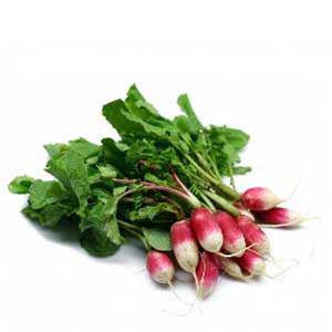 Frukt & Gront Radisa vittoppig klass1