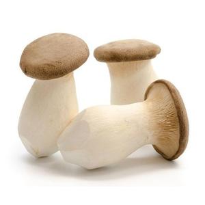 Frukt & Gront Svamp Kejsarhatt EKO Klass1 150g