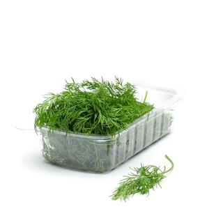 Frukt & Gront Dill ask 20g Klass1