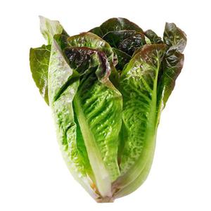 Frukt & Gront Romansallad rod Klass1