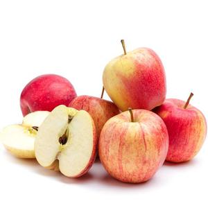 Frukt & Gront Apple Royal Gala EKO 6-pack Klass1