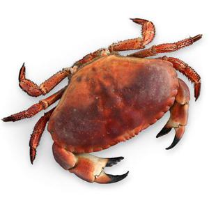 Bergfalk Krabba Nykokt 600g