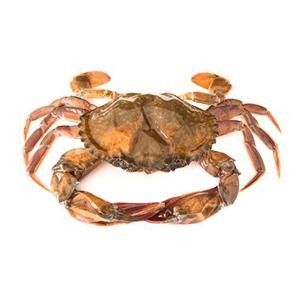 Meranus Krabba Soft Shell Fryst 1kg
