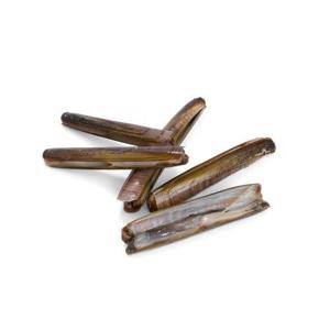 Bergfalk Knivmusslor MSC 1kg