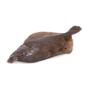 Bergfalk Rödspätta Hel MSC ca 500g