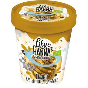 Lily & Hanna Rawfoodglass Divine Salted Mocha Caramel EKO 500ml 's