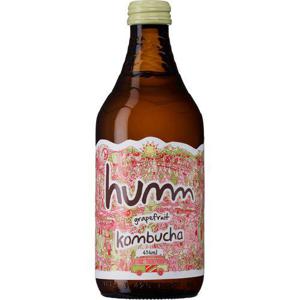 Humm Kombucha Grapefrukt EKO 40cl
