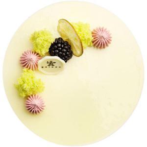 Gateau Limecheesecake 8-bitar