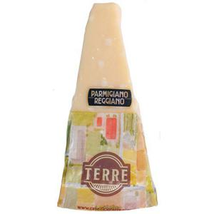 Terre Parmigiano Reggiano 24M ca 500g