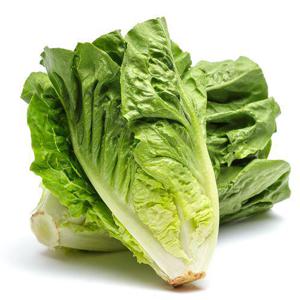 Frukt & Grönt Romansallad Klass1