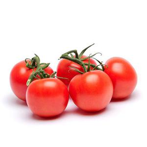 Frukt & Grönt Tomat Kvist EKO 500g Klass1