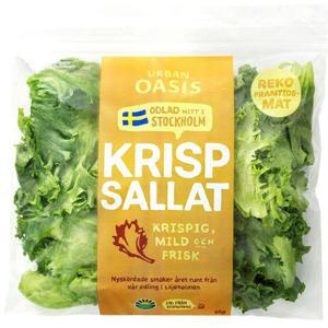 Frukt & Grönt Krispsallat Stadsodlad 65g Klass1