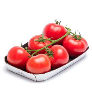 Frukt & Grönt Tomater Kvist Sverige 500g Klass1
