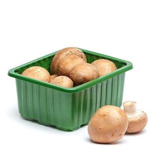 Frukt & Grönt Skogschampinjoner EKO/KRAV 200g Klass1