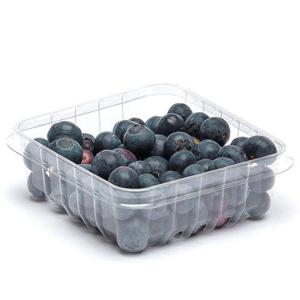 Frukt & Grönt Blåbär 125g Klass1