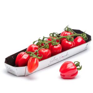 Frukt & Grönt Tomater extra Söt Jordgubbskvist 250g Klass1