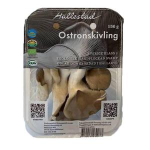 Frukt & Grönt Svamp Ostronskivling Svensk EKO 150g Klass1