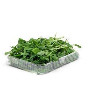 Orto Novo AB Svensk Ruccola 50g ask Klass1
