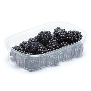 Frukt & Grönt Björnbär 125g Klass1