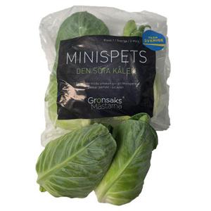Frukt & Grönt Spetskål Mini Klass1