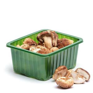 Frukt & Grönt Svamp Shiitake EKO 100g Klass1