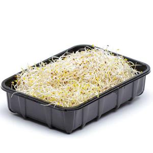 Frukt & Grönt Alfalfagroddar 130g EKO/KRAV Klass1