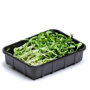 Frukt & Grönt Solrosskott 100g Klass1