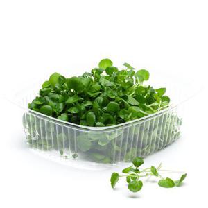 Frukt & Grönt Vattenkrasse 50g ask Klass1