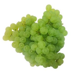 Frukt & Grönt Svenska Vindruvor Gröna EKO 400g Klass1