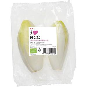 ICA I love eco Endive Ekologisk 250g